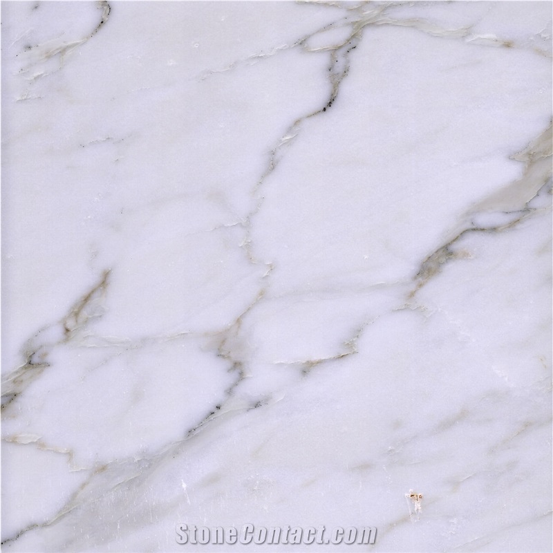 Calacatta Manhattan Marble 