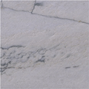 Calacatta White Quartzite Tile
