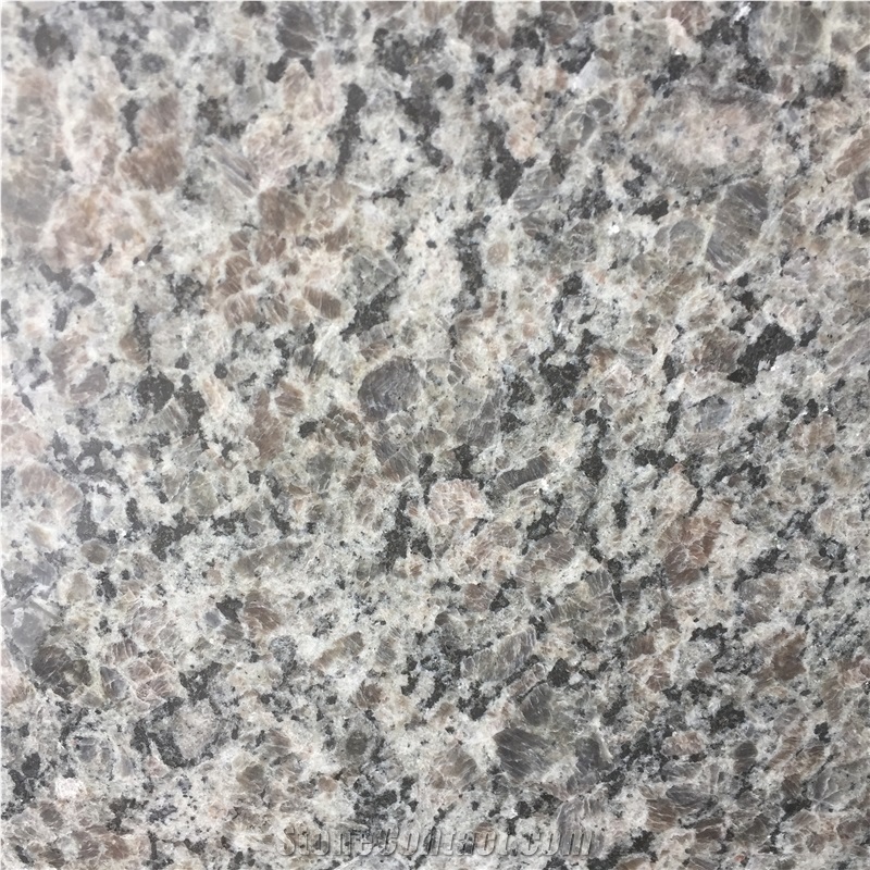 Calcedonia Granite 