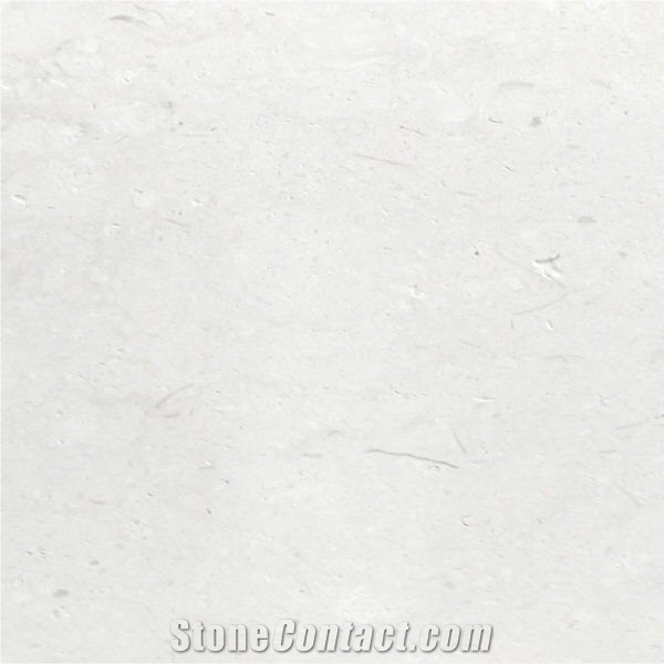 Caliza Alba Limestone Tile