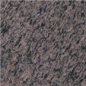 Camel Brown Granite