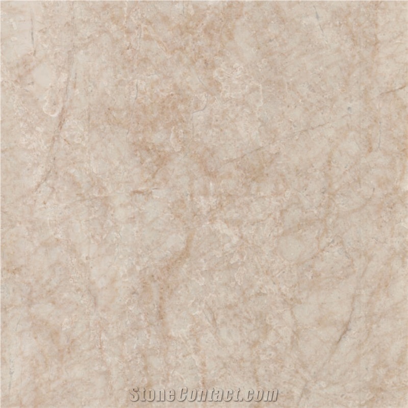 Camellia Gold Marble 