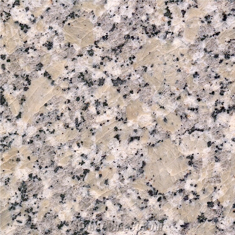 Cape Neddick Granite 