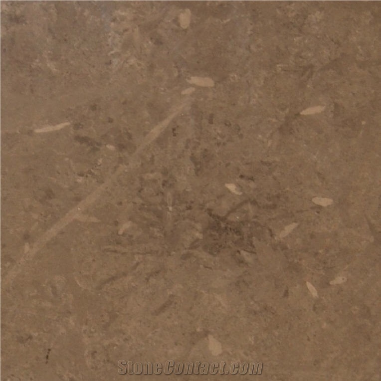 Carthage Brown Marble 
