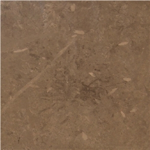 Carthage Brown Marble