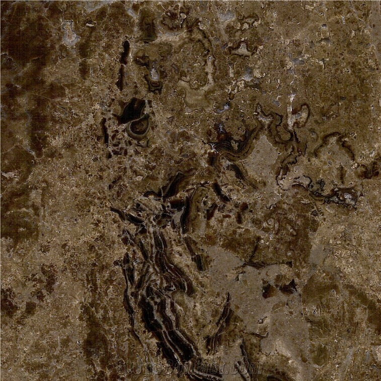Castano Brown Marble Tile