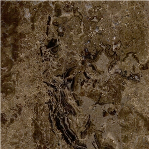 Castano Brown Marble Tile