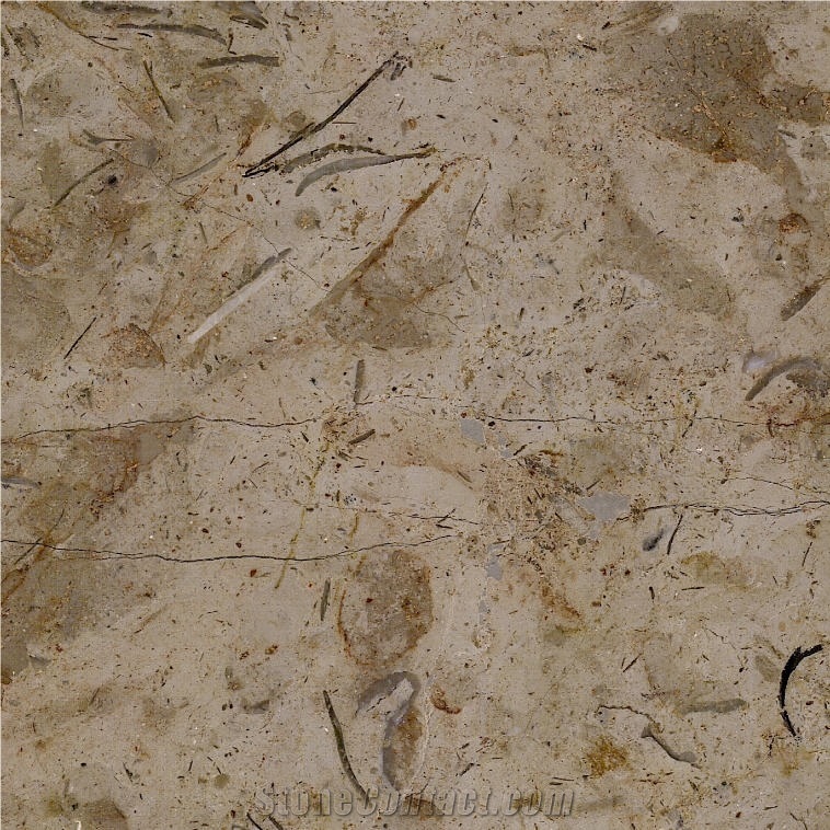 Catrina Grey Marble Tile