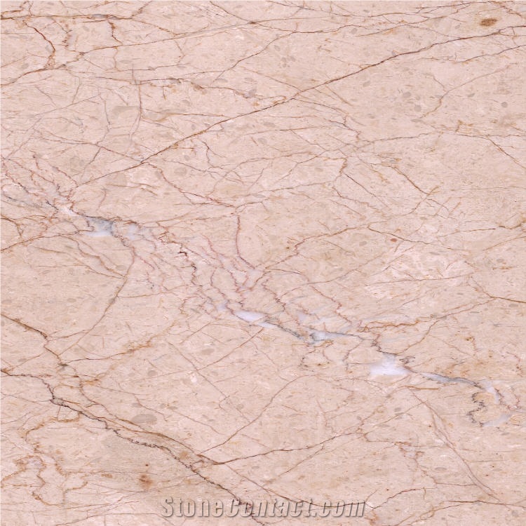 Champagne Gold Marble 