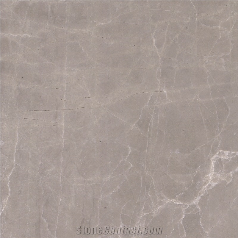 Champagne Gray Marble 