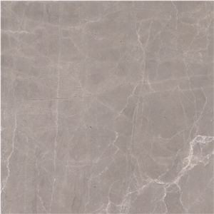 Champagne Gray Marble