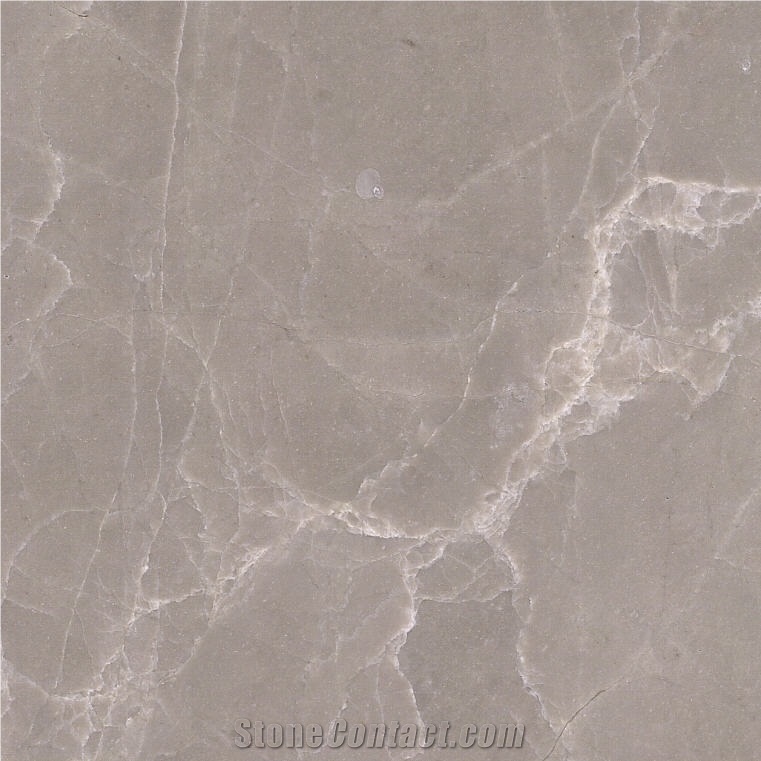 Champagne Gray Marble Tile