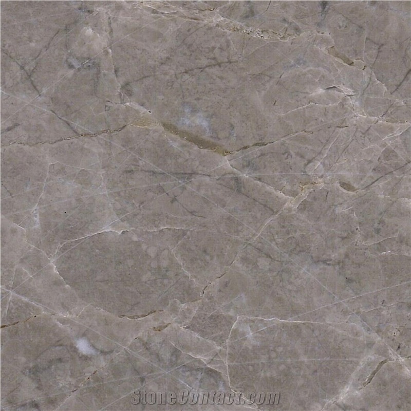 Champagne Grey Marble 