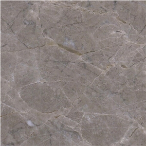 Champagne Grey Marble