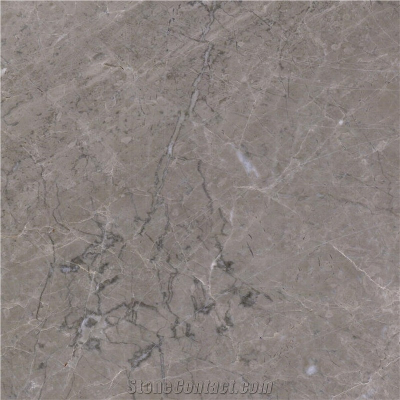 Champagne Grey Marble Tile