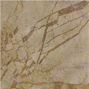 Chemtou Giallo Antico Marble