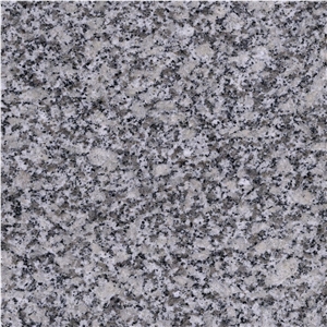 China Bianco Sardo Granite