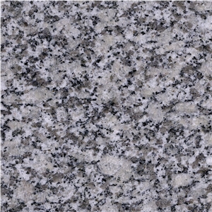 China Bianco Sardo Granite Tile