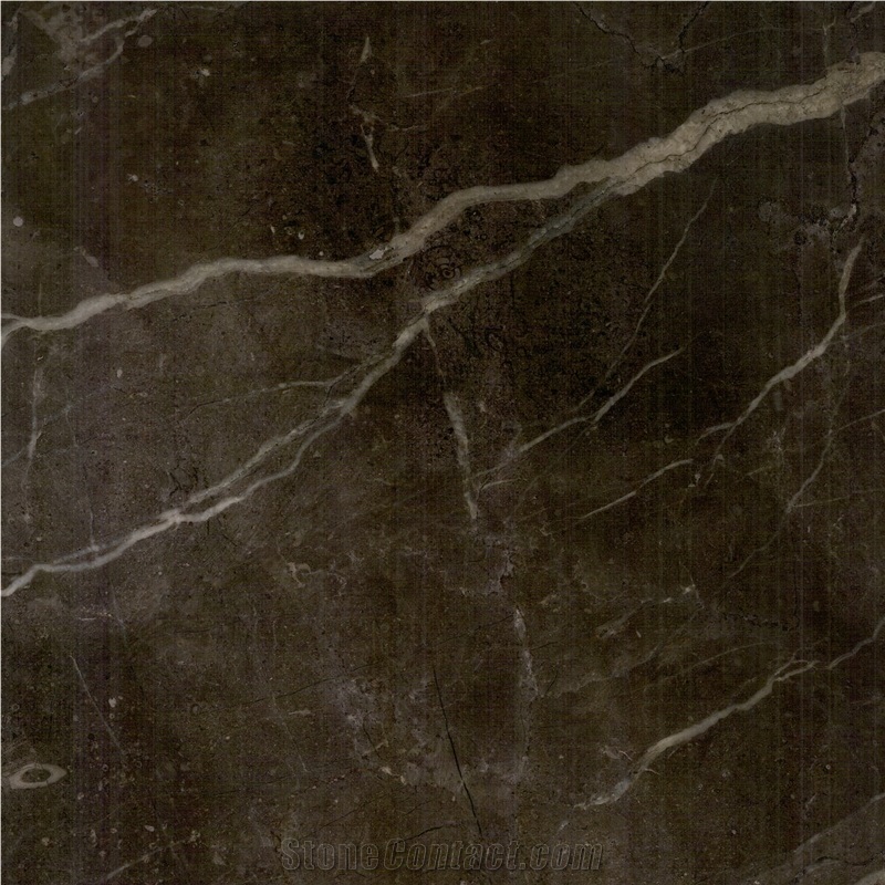 China Brown Marble 