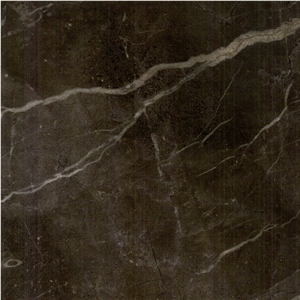 China Brown Marble