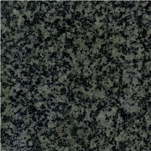 China Forest Green Granite Tile