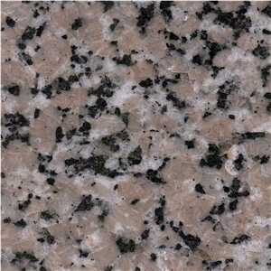 China Pink Porino Granite