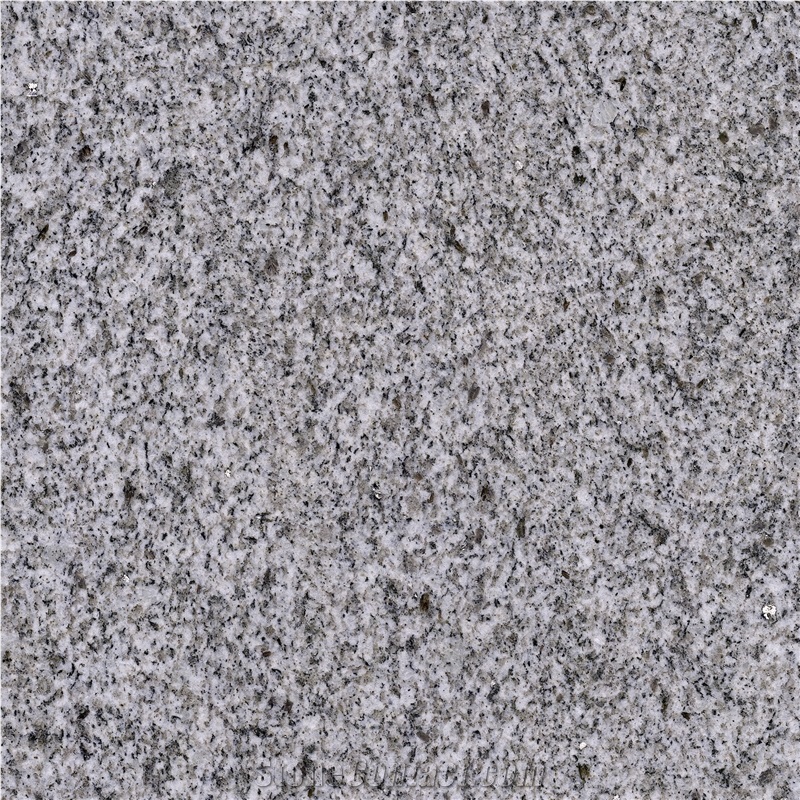 China Silver White Granite 