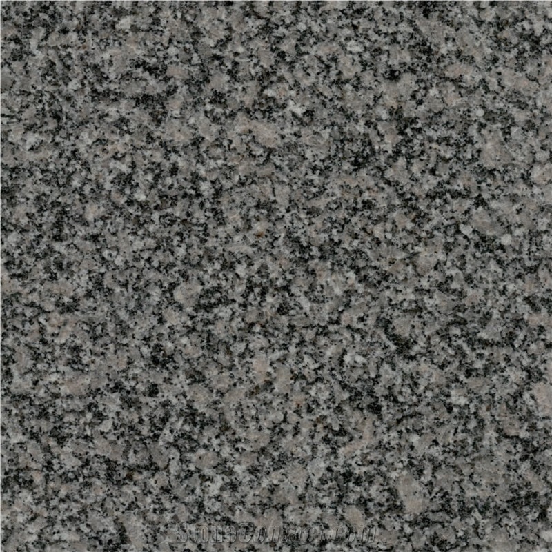 Chintamani Grey Granite 