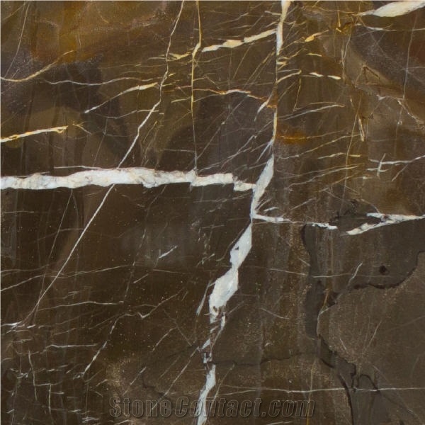 Coffee Gold Brown Marble 