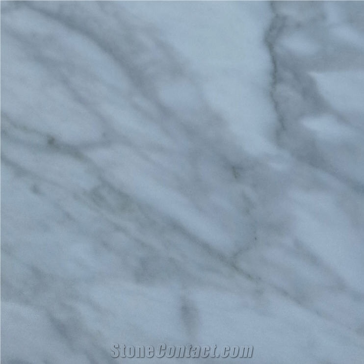 Coin Blanco Marble 