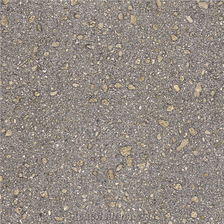 Coral Grey Sandstone 