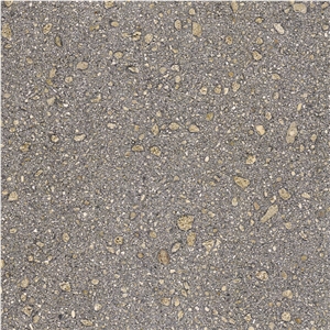 Coral Grey Sandstone