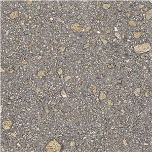 Coral Grey Sandstone Tile