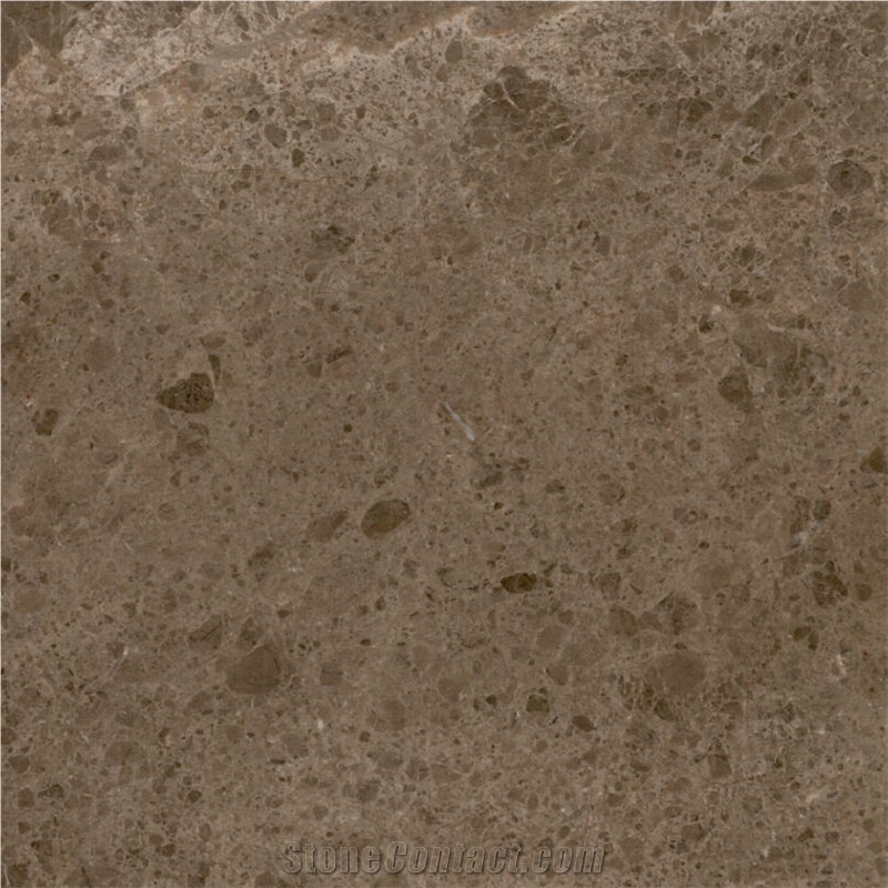Cosmos Olive Marble 