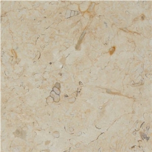 Crema del Desierto Limestone