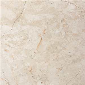 Crema Nouva Fossil Marble