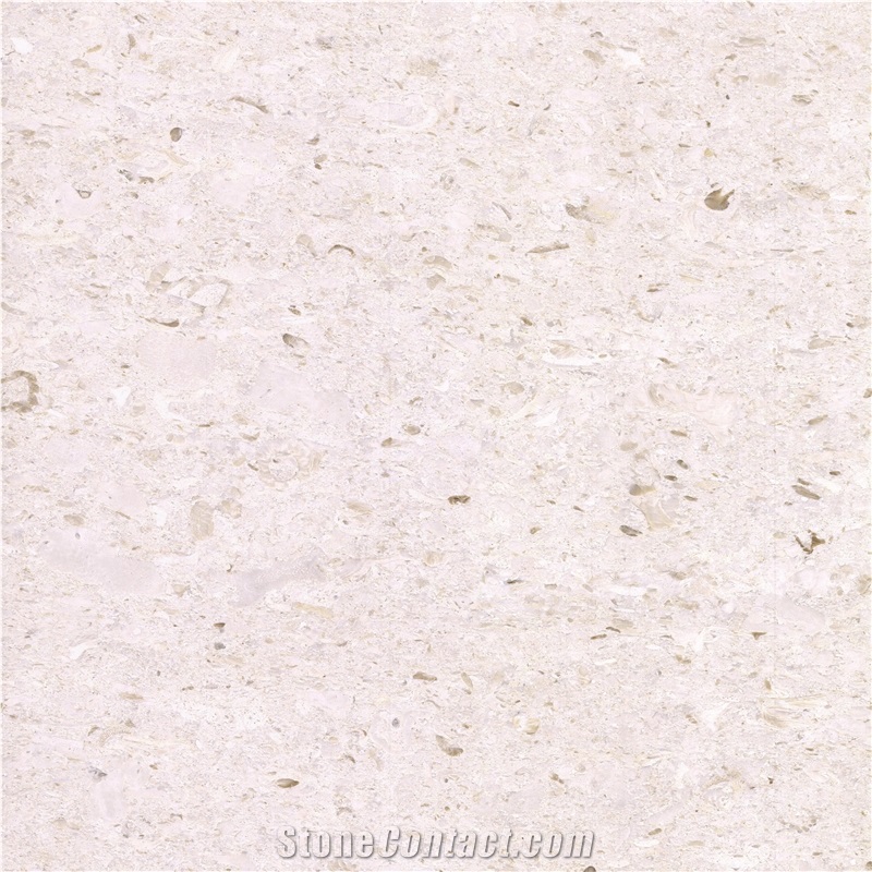 Crema Pearl Limestone 