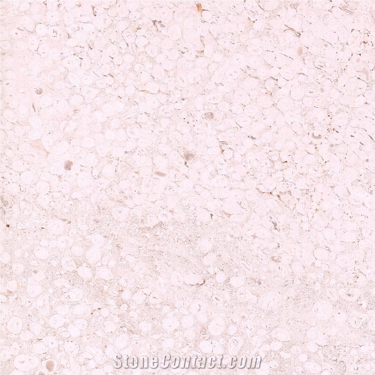 Crema Sevilla Limestone 