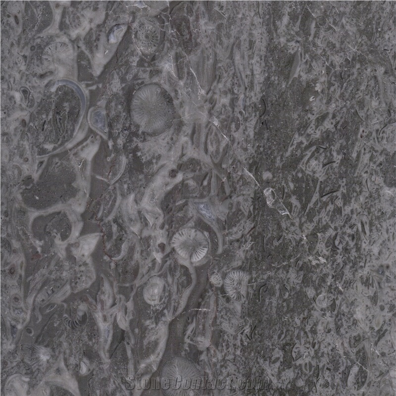 Croatia Grey Marble Tile