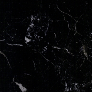 Crocodile Black Marble