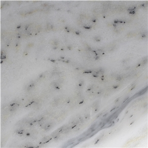 Dalmania Marble