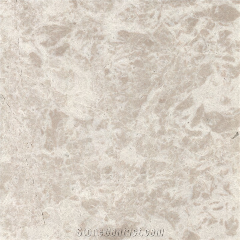Dalmatian Marble Tile