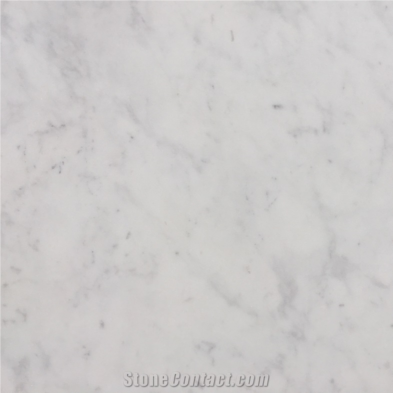Danae Bianco Gala Marble 