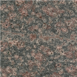 Desert Bloom Granite
