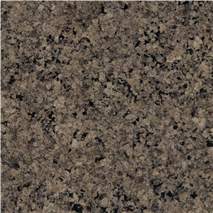Desert Brown