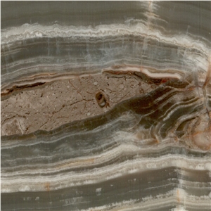Dolphin Onyx