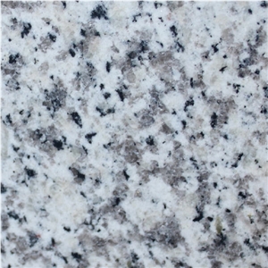 Dover White Granite