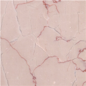 Dragon Beige