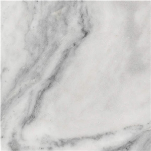 Elegance White Quartzite