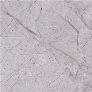 Elegant Gray Marble Tile